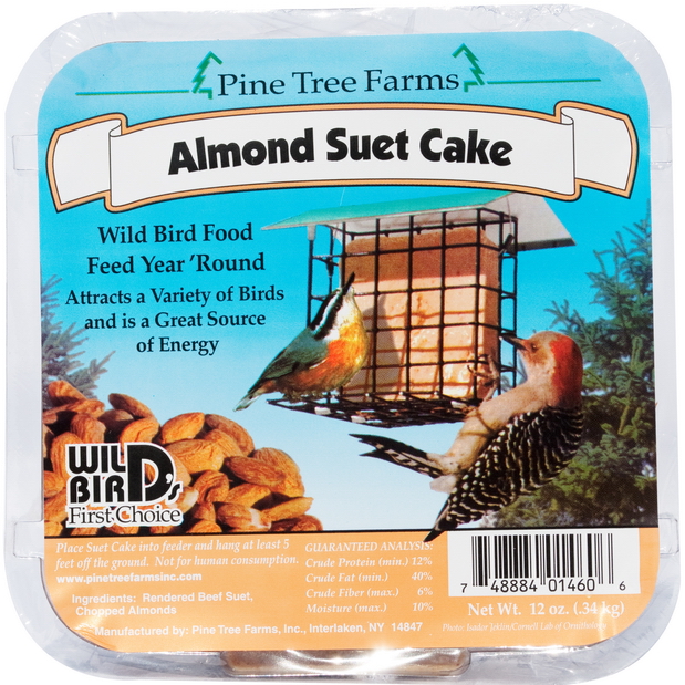 Almond Suet Cake - 1460