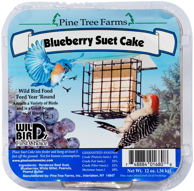 Blueberry Suet Cake - 16801680