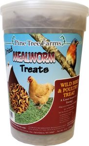 Dried Mealworm Treats 8 oz - 8042